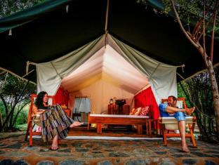 The Naturalist Luxury Tents